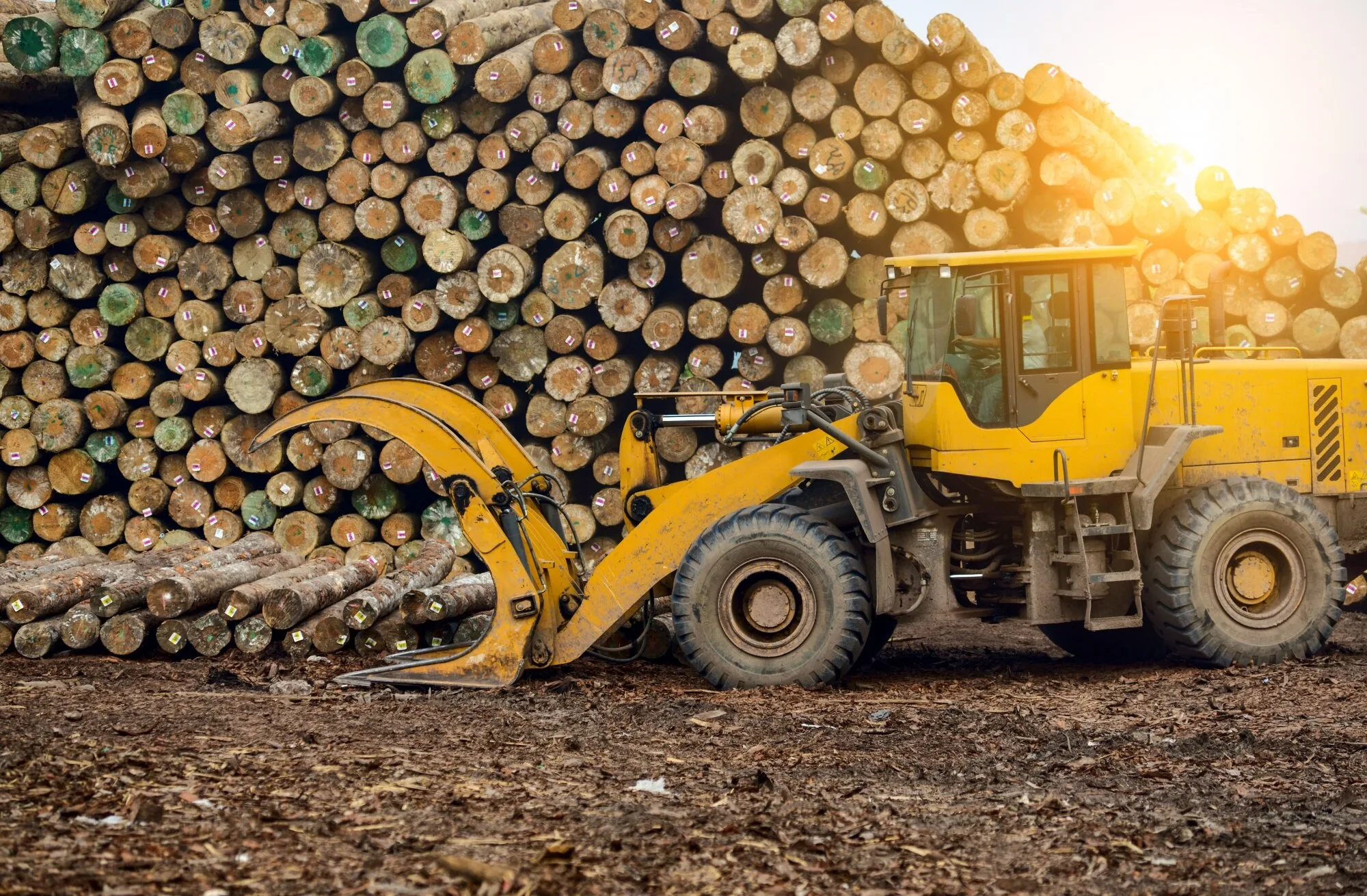 Sustainable construction