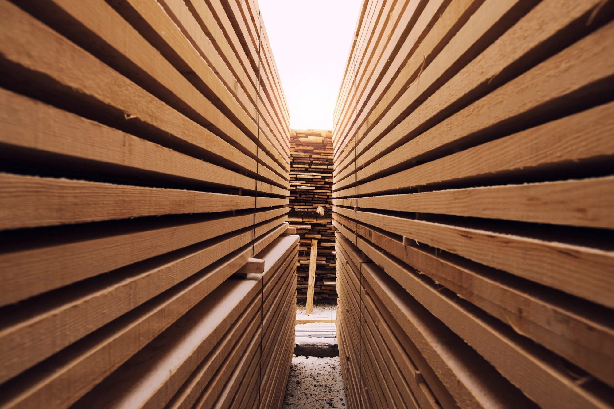 Timber in Construction